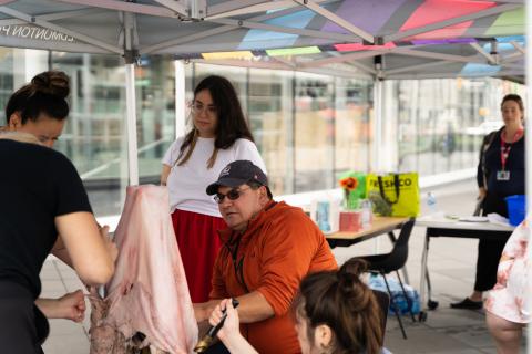 Fleshing the moose hide