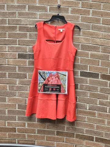Red Dress displayed in the library 