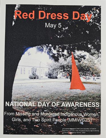Red Dress Day Poster