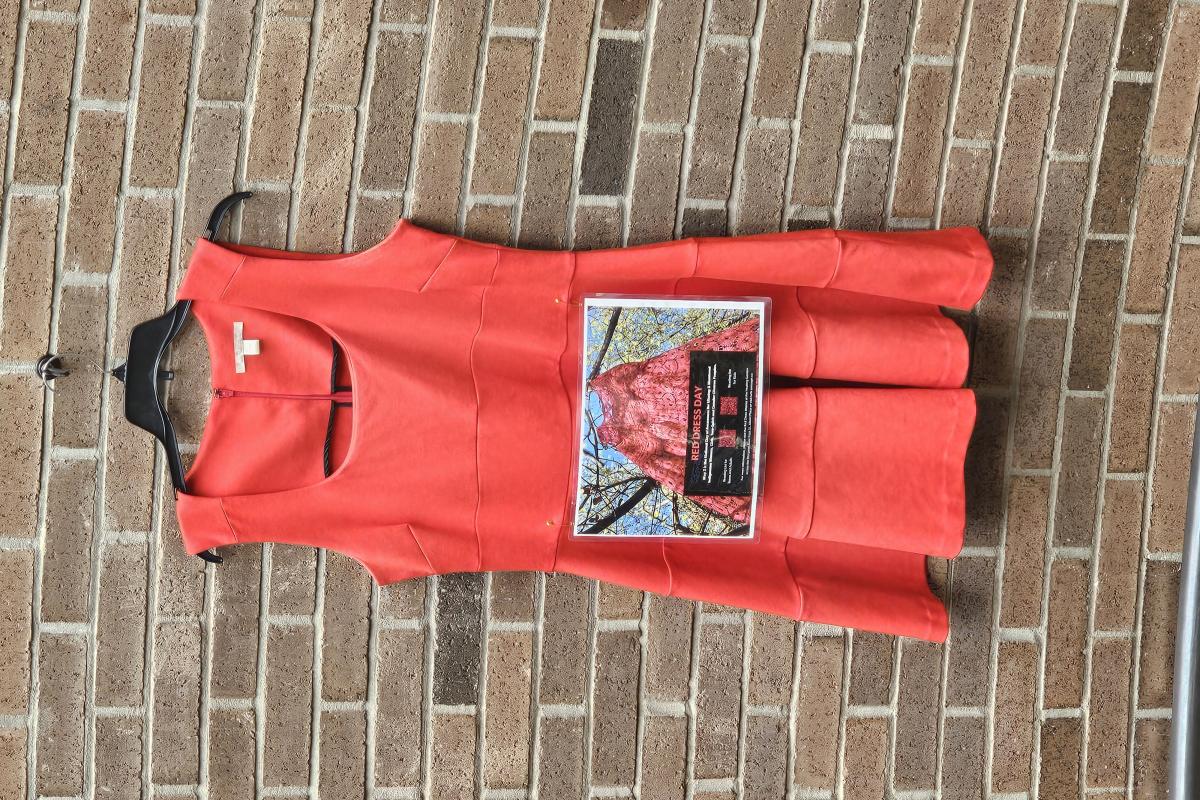 Red Dress displayed in the library 