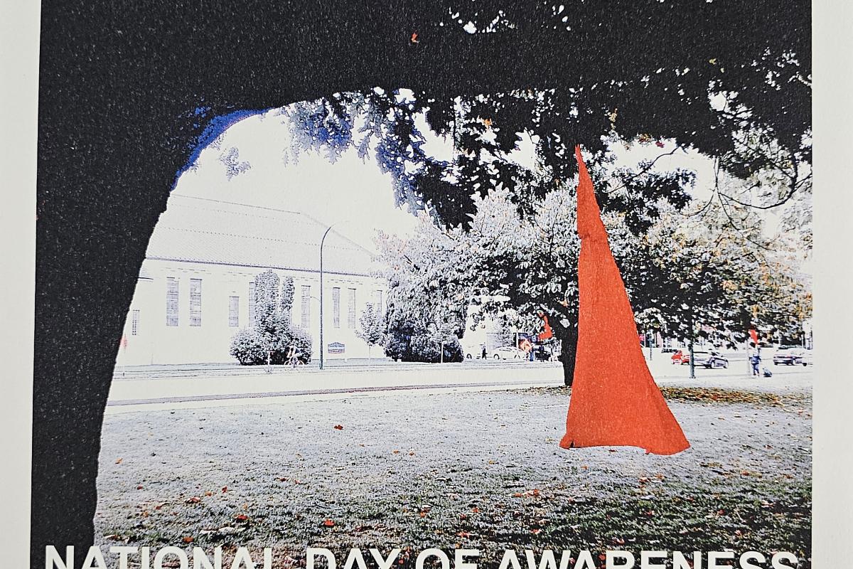 Red Dress Day Poster