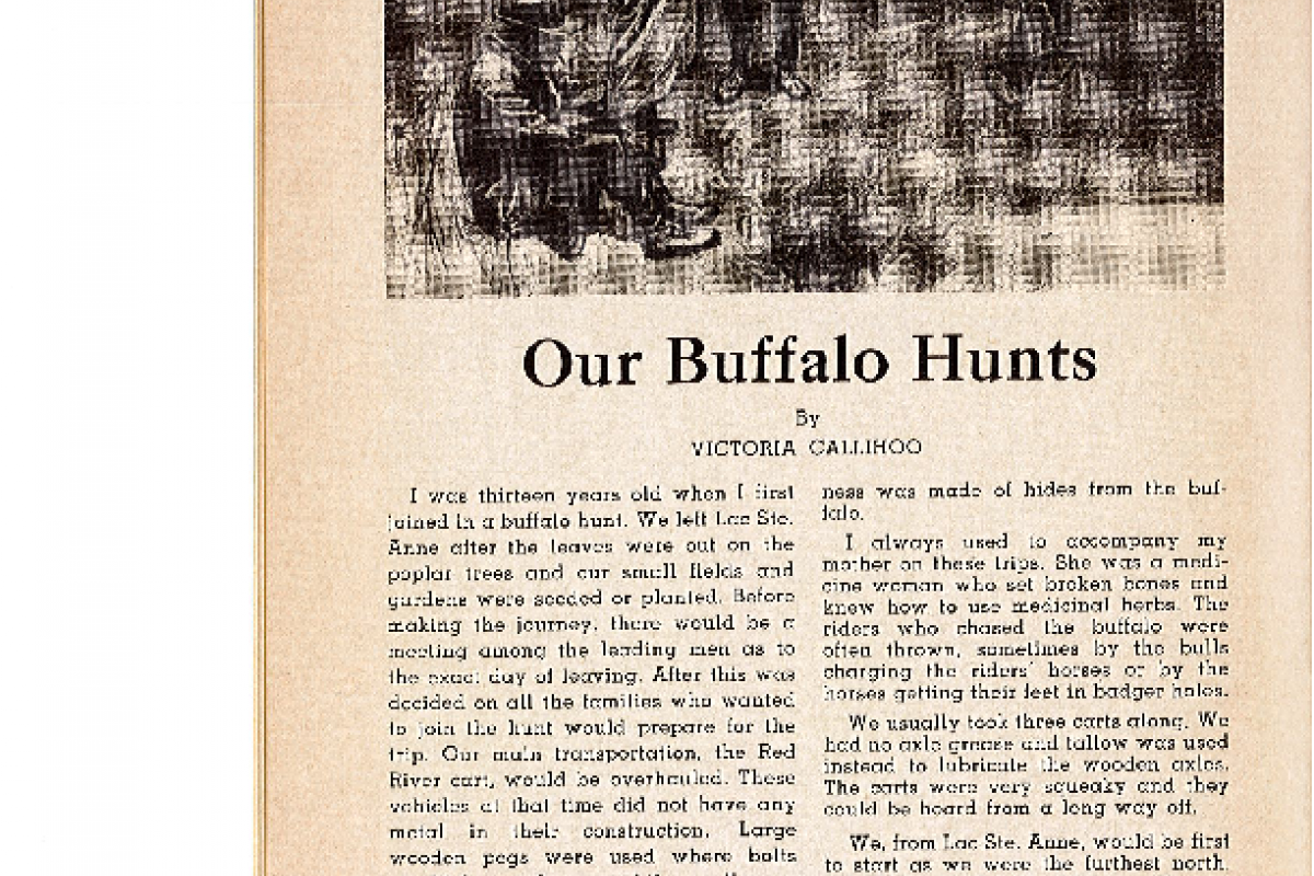 Our Buffalo Hunts by Victoria Callihoo